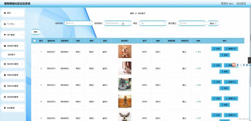 SpringBoot宠物网络社区论坛系统设计与实现